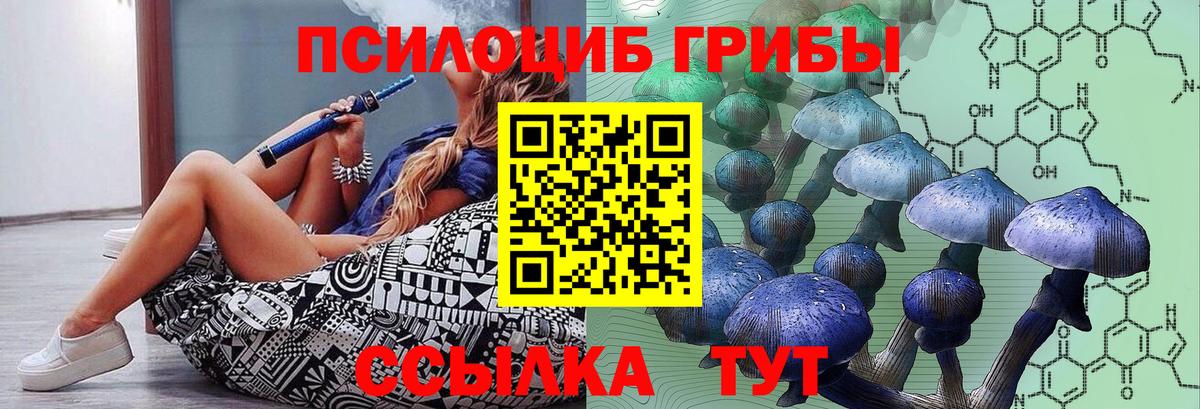 Псилоцибиновые грибы прущие грибы Аша