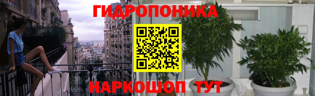 Марихуана план Аша